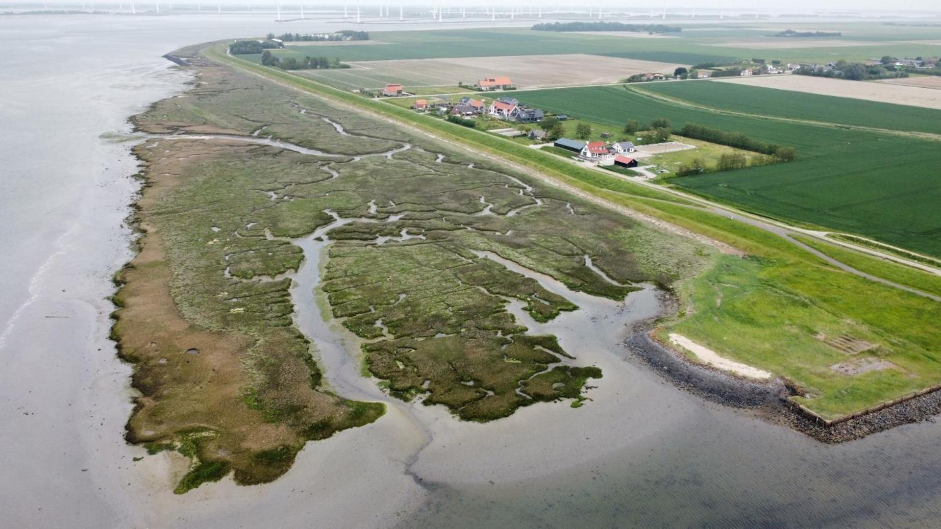Apartmán Philipstere Sint Philipsland Exteriér fotografie